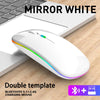 Wireless Bluetooth RGB Rechargeable Mouse Silent Ergonomic LED Backlit Gaming Mouse for Laptop and PC