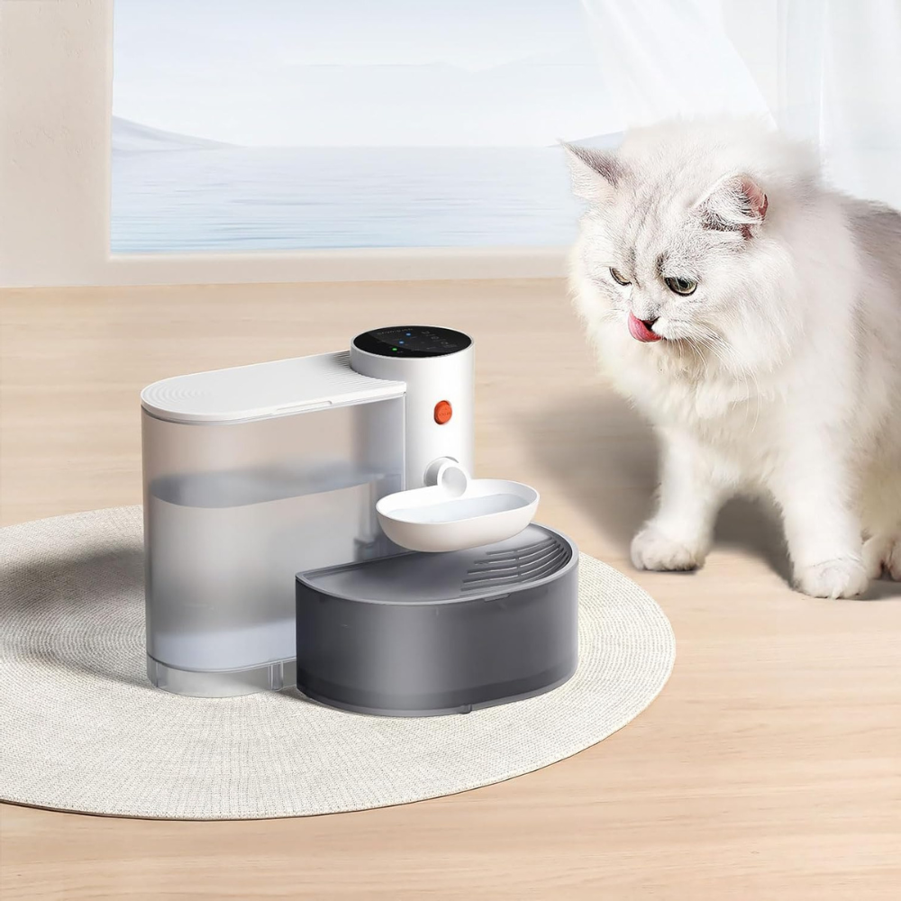 Pet Water Dispenser | Fresh Spring Water for Your Pets