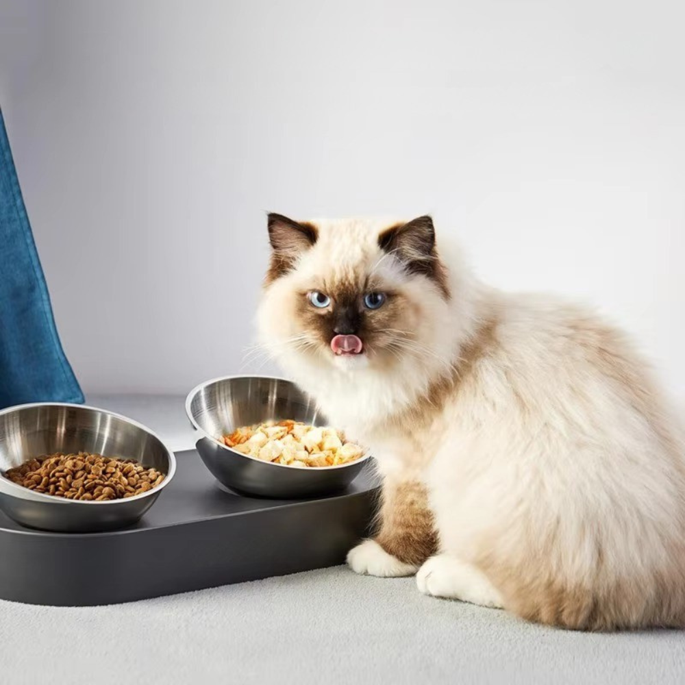 Petkit Stainless Steel Pet Bowl | Ergonomic Feeding Station with Heart