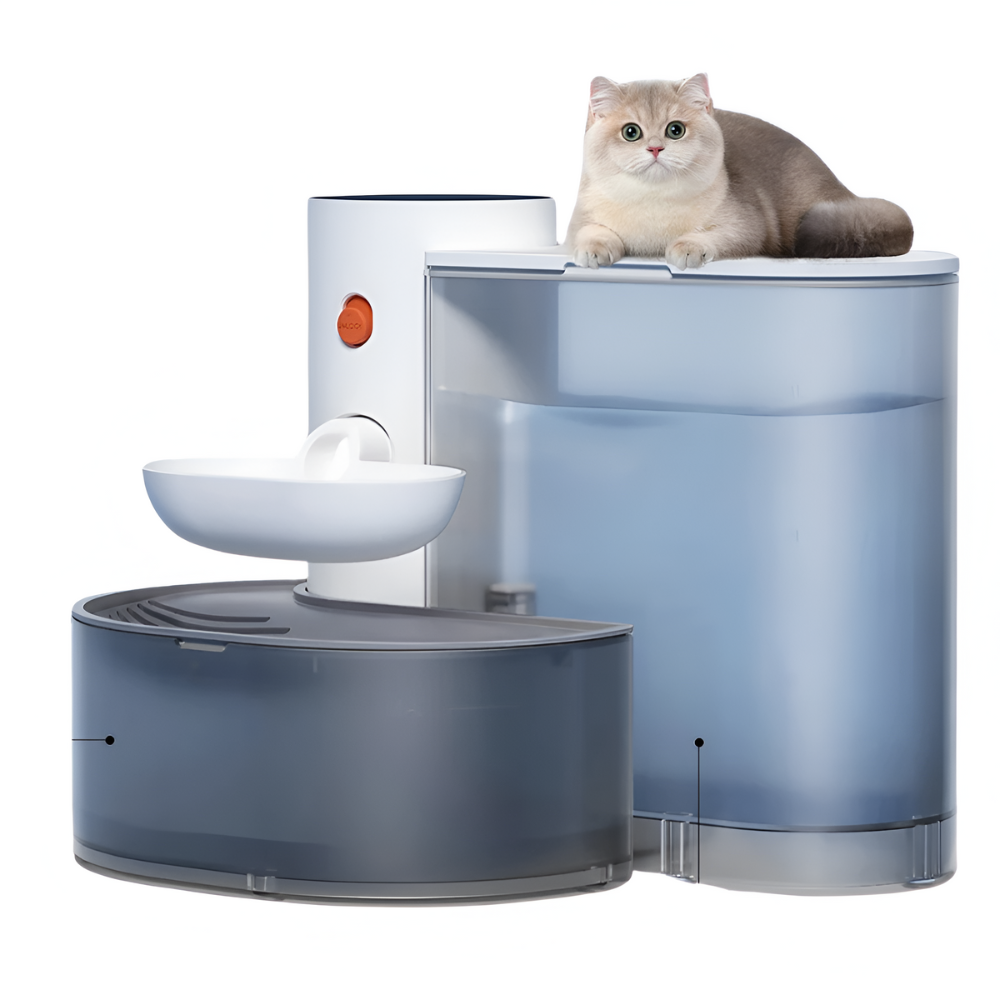 Pet Water Dispenser | Fresh Spring Water for Your Pets