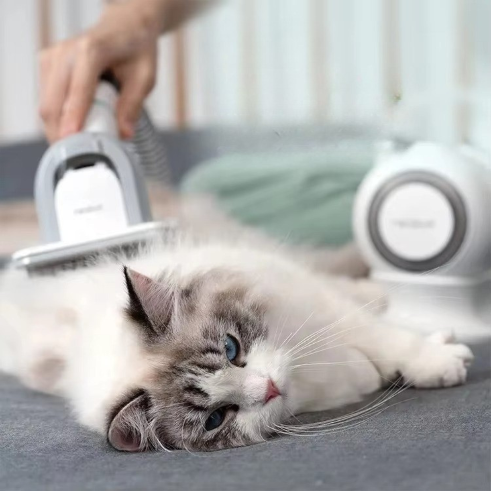 Pet Grooming Kit Vacuum | Coat Care That Touches Hearts
