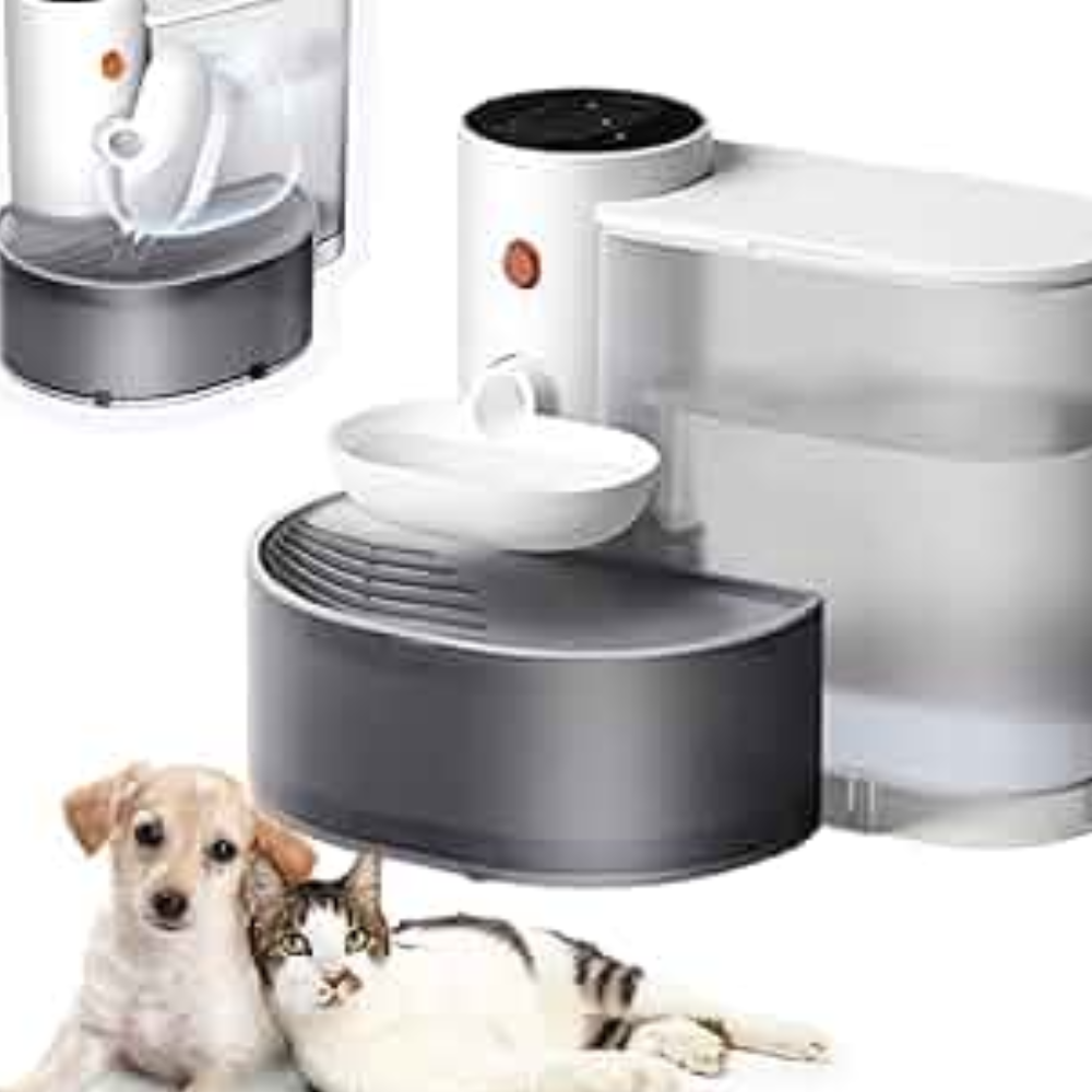 Pet Water Dispenser | Fresh Water Your Pets Will Love