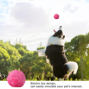 Anti-Anxiety Automatic Magic Rolling Ball