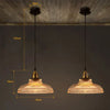 Glass Hanging Lamp Elegant Pendant Light [2 pack]