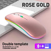 Wireless Bluetooth RGB Rechargeable Mouse Silent Ergonomic LED Backlit Gaming Mouse for Laptop and PC