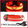 LED Glog Collar Rechargeable