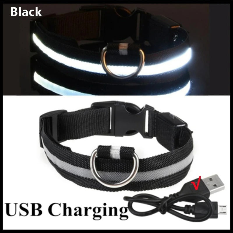 LED Glog Collar Rechargeable