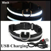 LED Glog Collar Rechargeable