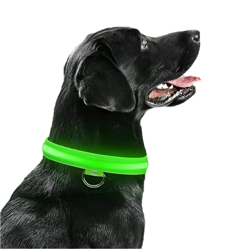 LED Glog Collar Rechargeable