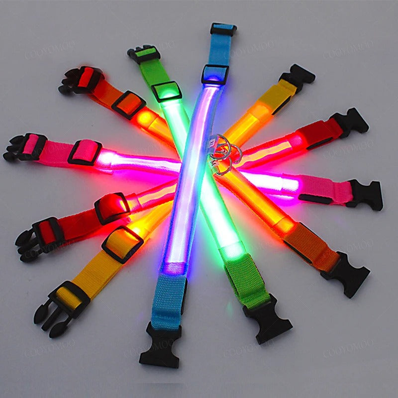 LED Glog Collar Rechargeable