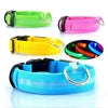 LED Glog Collar Rechargeable