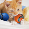 Smart Interactive Motion Toy Ball for Cats & Dogs
