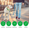 LED Glog Collar Rechargeable