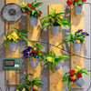 Solar Drip Automated Irrigation System