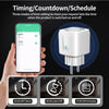 Smart Plug – WiFi/Zigbee EU 16A/20A Socket with Power Monitoring, Timer, Voice Control