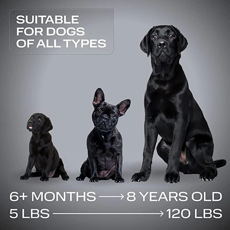 Ultrasonic Dog Training & Bark Control Device
