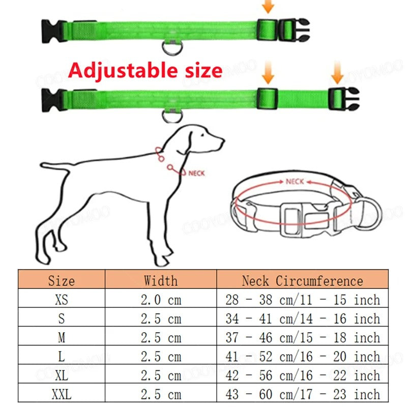 LED Glog Collar Rechargeable