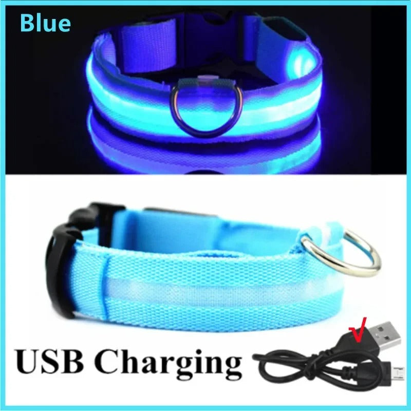 LED Glog Collar Rechargeable